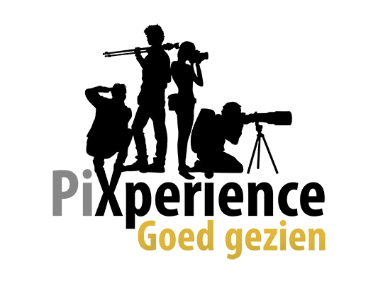 PiXperience goedgezien logo LR