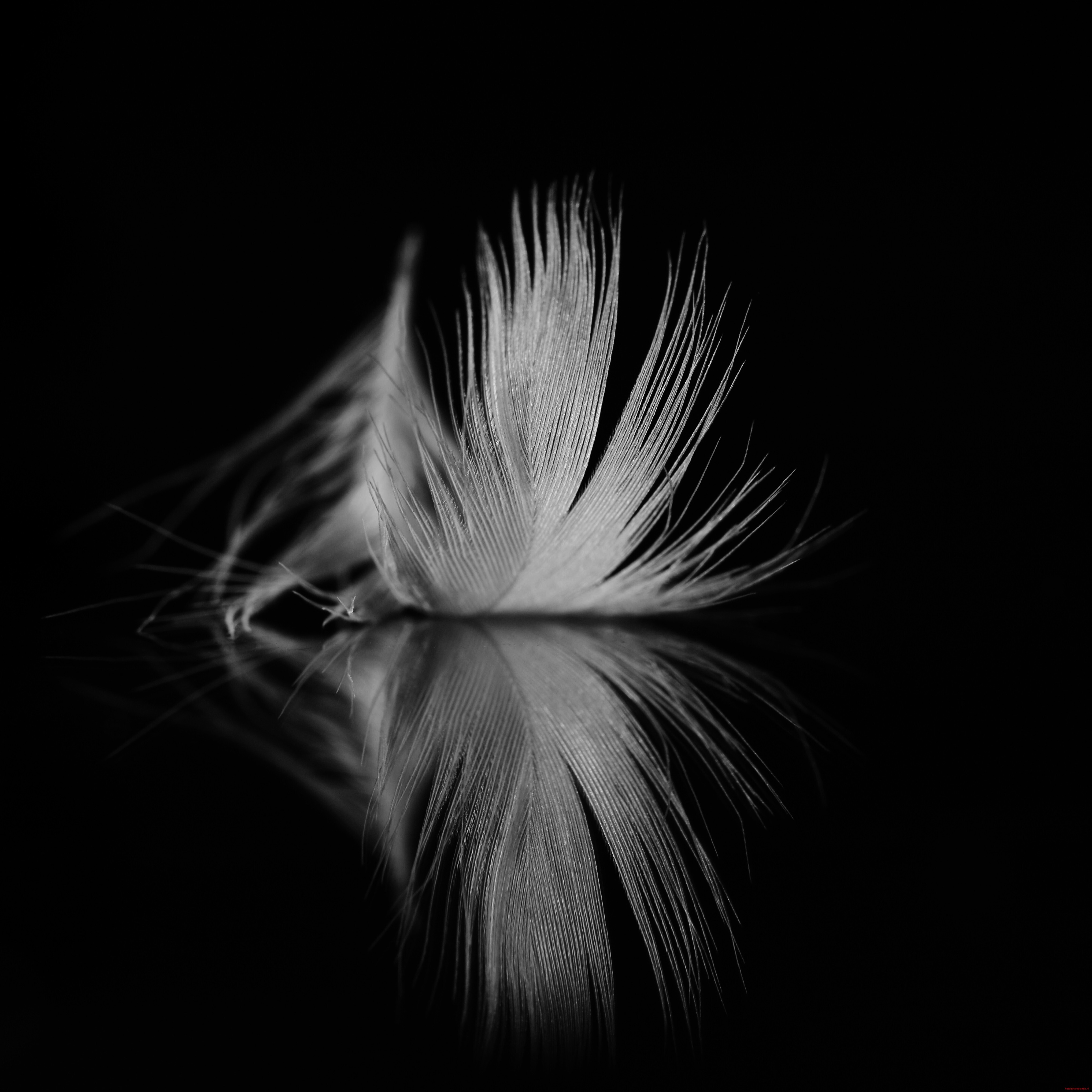 Thema maand januari 2025 MYSTERIE IN HET DONKER