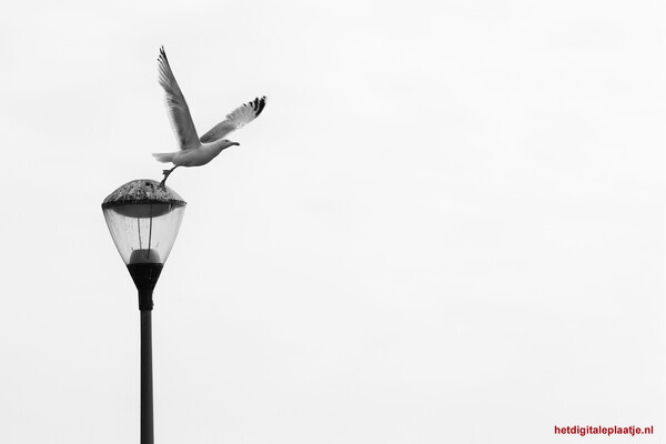 Thema maand juni 2025 MINIMALISME