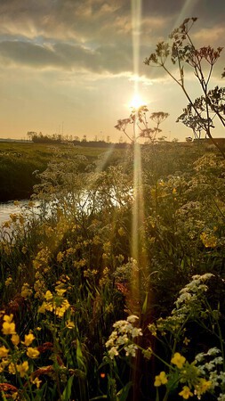 Zonnestraal