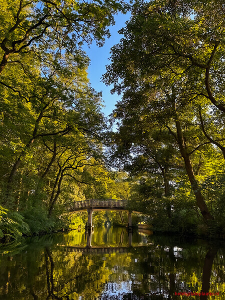 Bruggetje in het bos