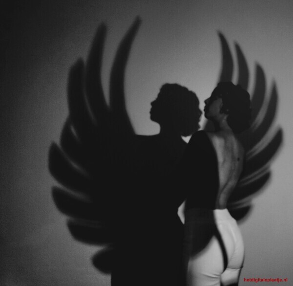 Shadow Wings