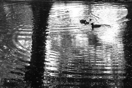 Reflectieringen