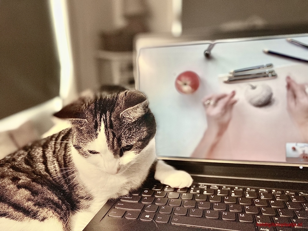 “Me and my cat” volgen samen een schilderles