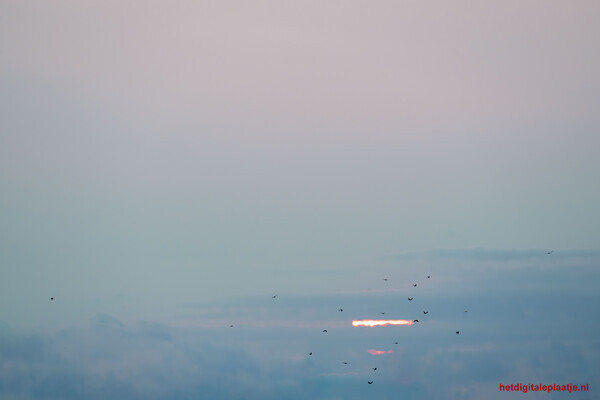 Avondvlucht