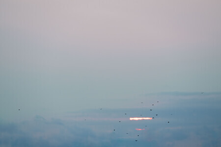 Avondvlucht