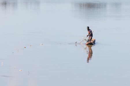 Visser in Zambia
