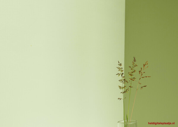 De Grasspriet