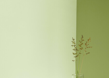 De Grasspriet