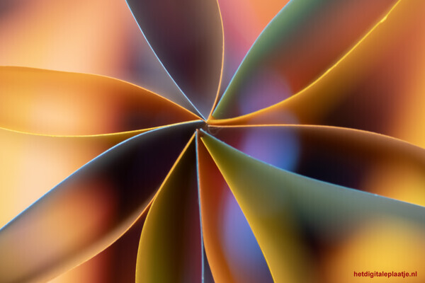 Abstracte Bloei