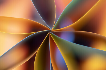 Abstracte Bloei