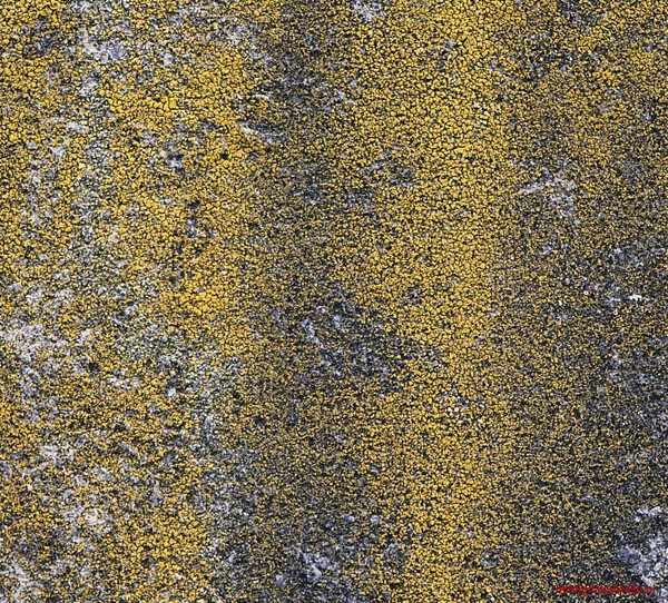 natuurlijke abstractie