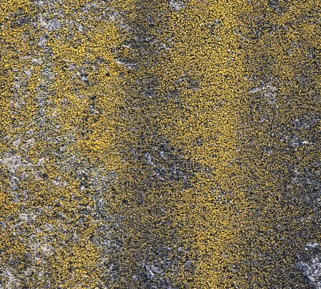 natuurlijke abstractie