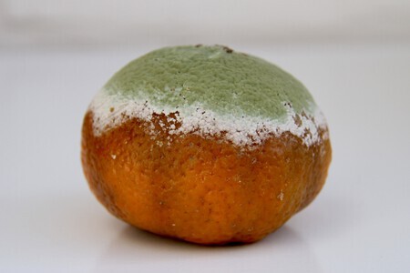 Naturel kleurenpalet