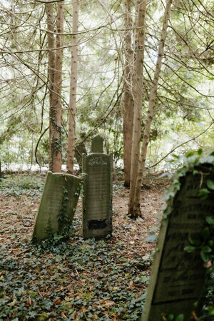 Ik draag je door de tijd