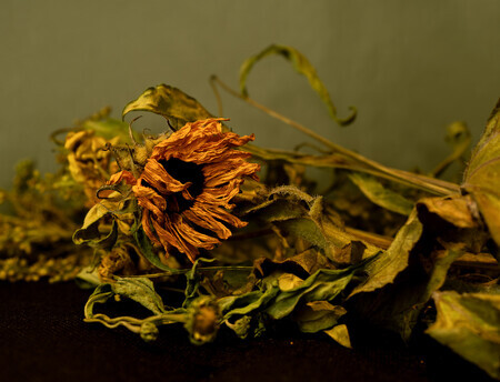 bosje bloemen.............