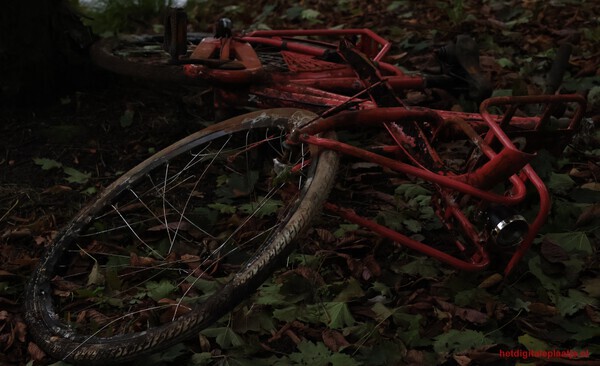 Uit de gracht gevist