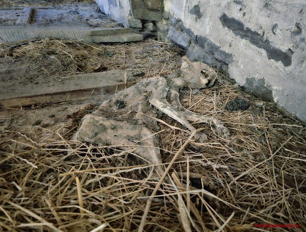 Stil Leven in de Grange