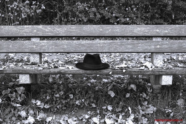 Aanwezig in afwezigheid