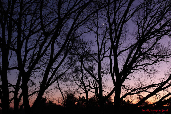 nagloed van een mooie dag voor kerstmis