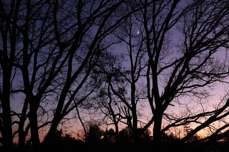 nagloed van een mooie dag voor kerstmis