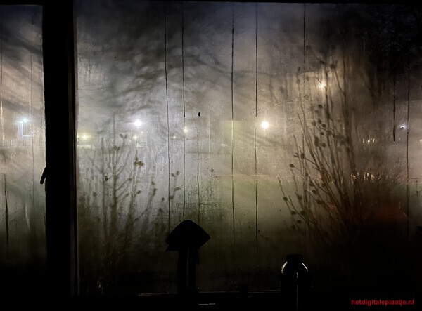 Er zijn altijd lichtpuntjes, hoe donker het ook is.