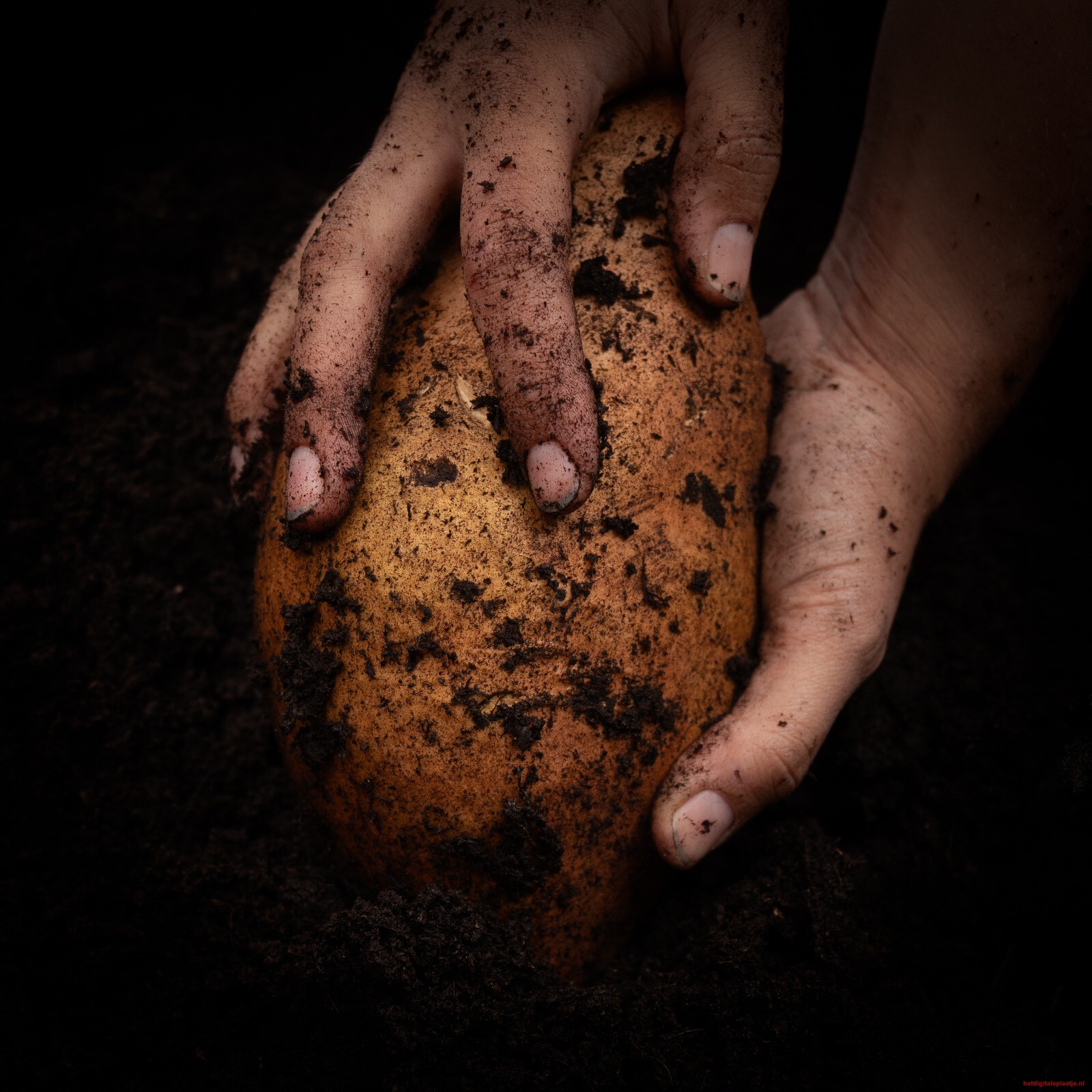 Food: The origins
