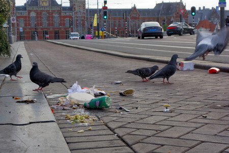 Verspilling