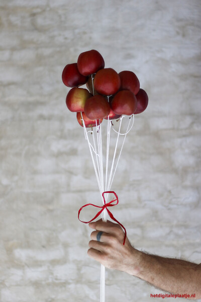 Fruit Flight.