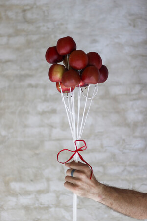 Fruit Flight.