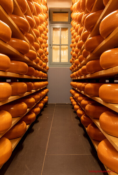Typical Dutch Food