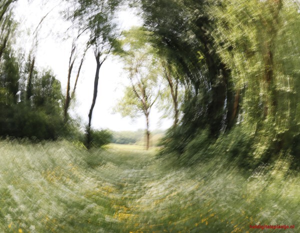 De natuur in beweging