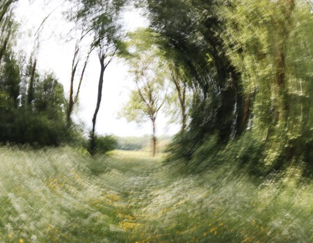 De natuur in beweging