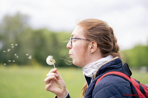 Nienke en de Paardenbloem