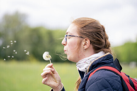 Nienke en de Paardenbloem