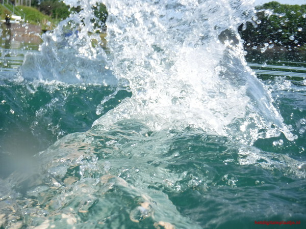 Splash