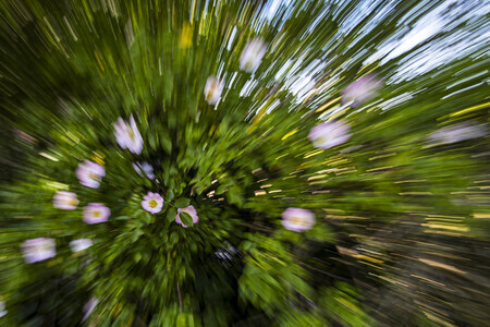 Bloemen pret