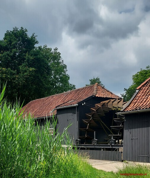Die van van Gogh