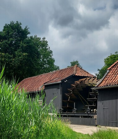 Die van van Gogh