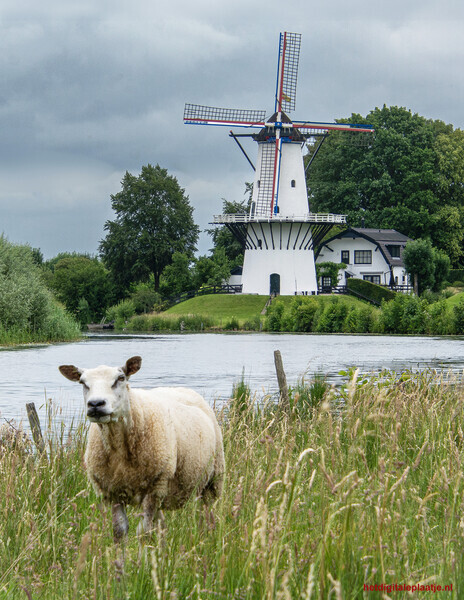 Langs de Linge