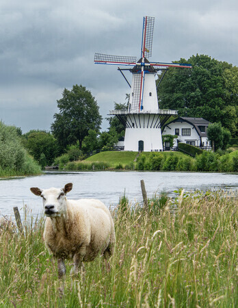 Langs de Linge