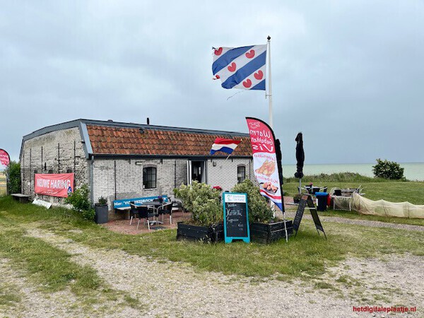 Visstek in Gaasterland Friesland