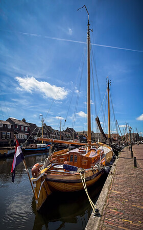 Hollands Glorie