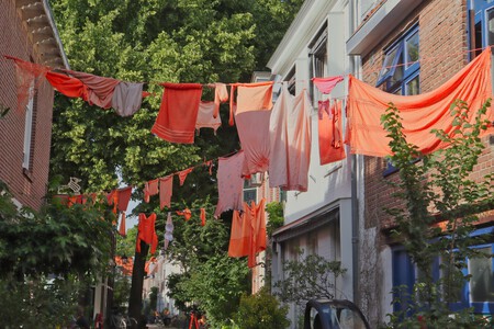 oranjekoorts