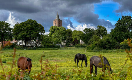 Tussen wolken en weilanden.