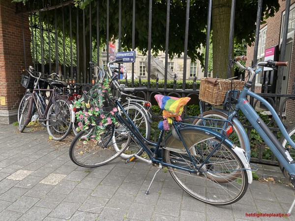 De (Nederlandse) fiets