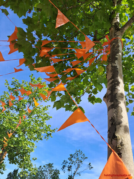 Oranje
