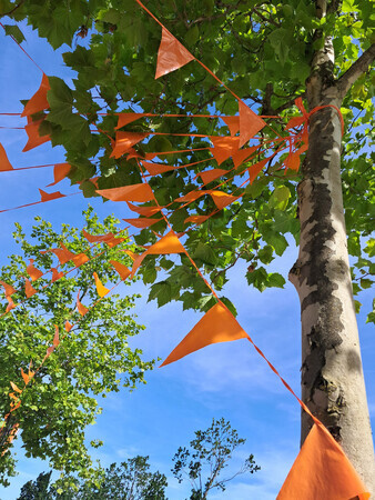 Oranje