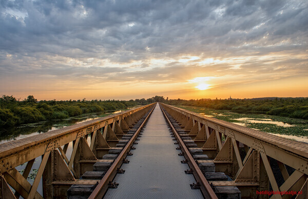 Tussen de rails