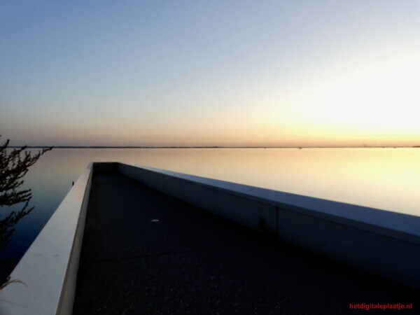 Leidend naar de horizon